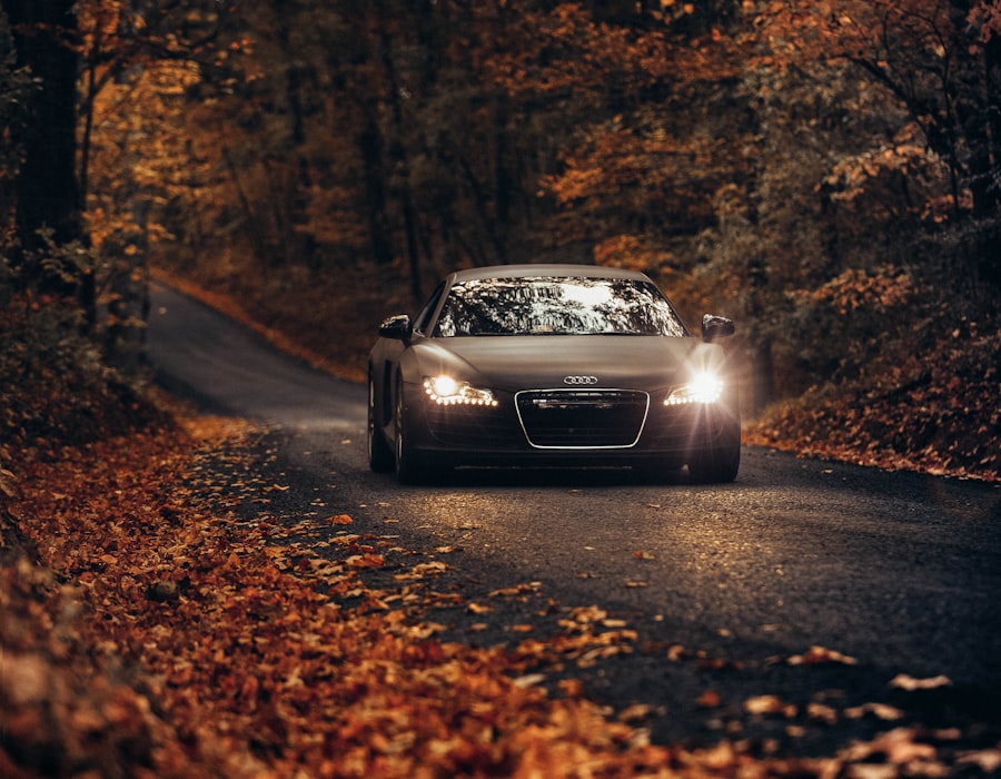 A car on a quiet tree-lined road